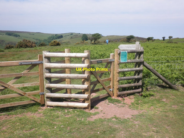 Photo 6"x4" Start of the 'Rugged' Coastal Path Minehead c2013