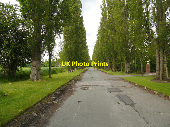 Photo 6"x4" The Avenue, Lymm Lymm c2013