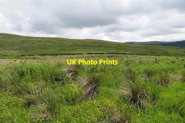 Photo 6"x4" Craigannet Hill Kirk o' Muir Cemy c2013
