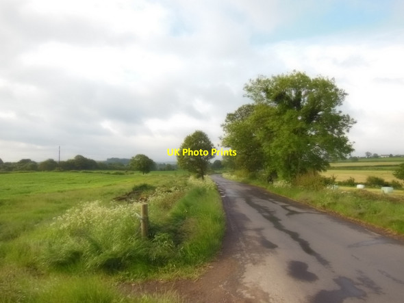 Photo 6"x4" Pinfold Lane Eastfield\/SE2902 c2013