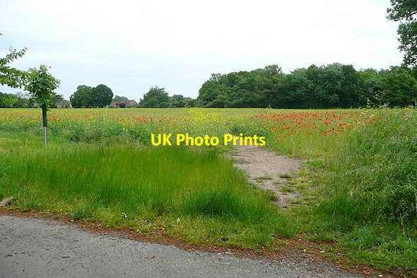 Photo 6"x4" Footpath towards Henley Henley-on-Thames c2013