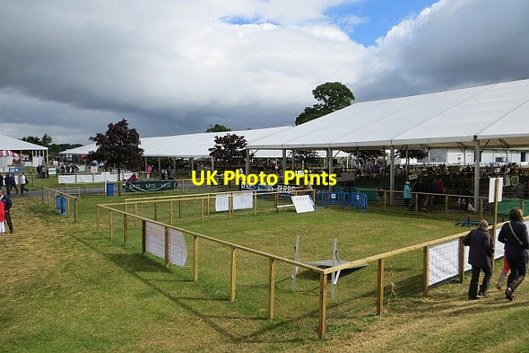 Photo 6"x4" Sheep judging ring Ratho Station c2013