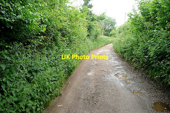 Photo 6"x4" Byway at Rotherfield Greys Greys Green c2013