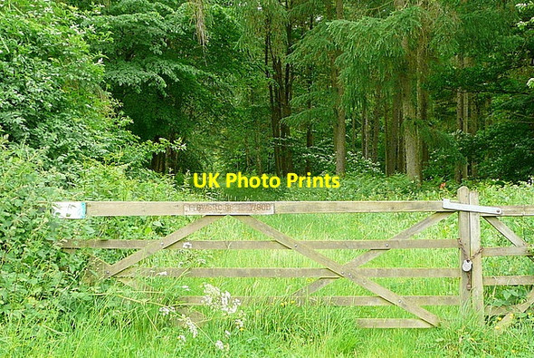 Photo 6"x4" Entrance at Round Wood Greys Green c2013
