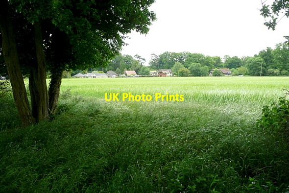 Photo 6"x4" View from Bones Lane Binfield Heath c2013