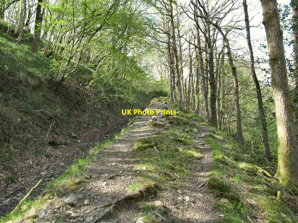 Photo 6"x4" Giedd bridleway ascends Cae'r-Lan\/SN8012 c2013