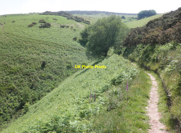 Photo 6"x4" The 'Rugged' path above Henners Combe Allerford\/SS9047 c2013