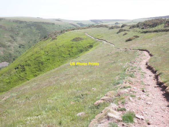 Photo 6"x4" South West Coast Path Allerford\/SS9047 c2013