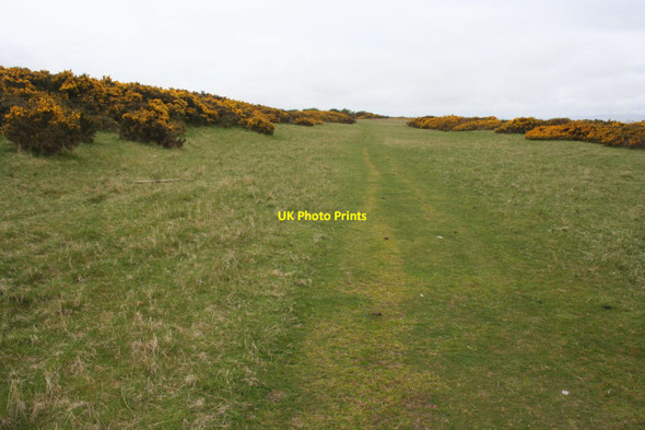 Photo 6"x4" On Grune Point Skinburness c2013