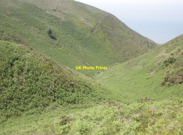 Photo 6"x4" East Combe Allerford\/SS9047 c2013