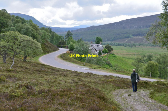 Photo 6"x4" Valley of the Dee near Braemar Allanaquoich c2013