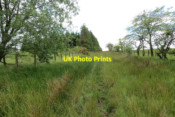 Photo 6"x4" The Drove Road Bowismiln c2013