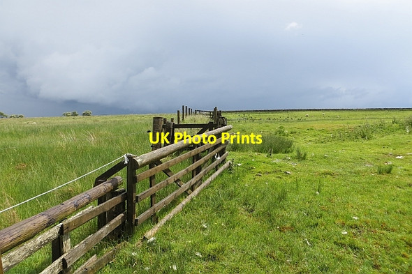 Photo 6"x4" Field boundary Bowismiln c2013