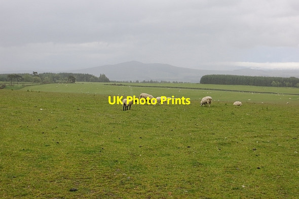 Photo 6"x4" Hallywell Hill Newton\/NT5017 c2013
