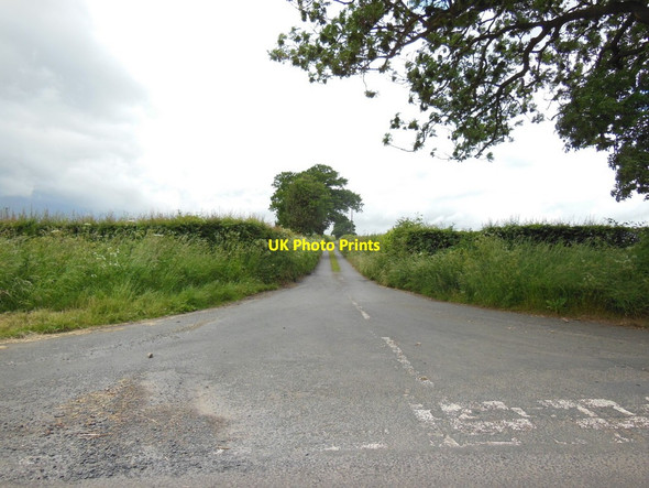 Photo 6"x4" Binsley Lane off Crayke Lane Crayke c2013