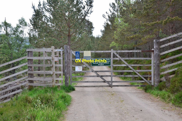 Photo 6"x4" Gate near Old Brig o' Dee Garbh Allt Shiel c2013