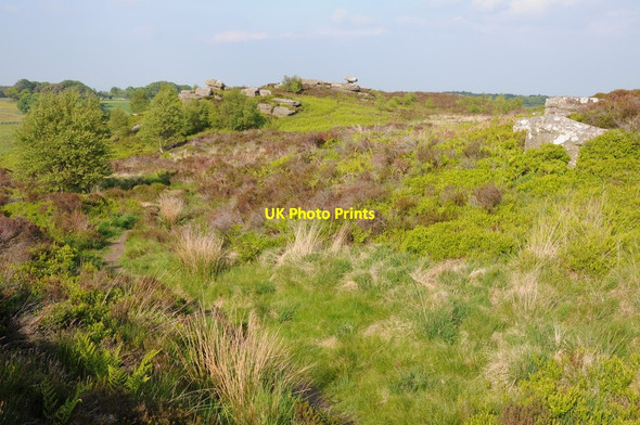 Photo 6"x4" Brimham Moor Warsill c2013