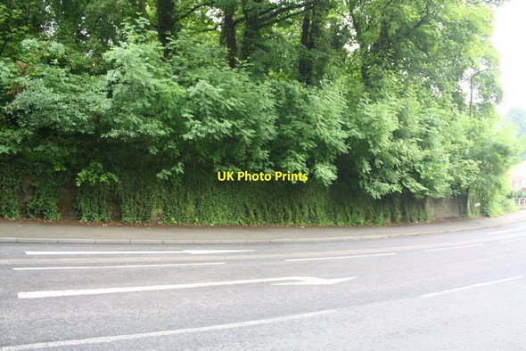 Photo 6"x4" Ivy-clad White Lane wall at junction with Station Road Chapeltown\/SK3596 c2013