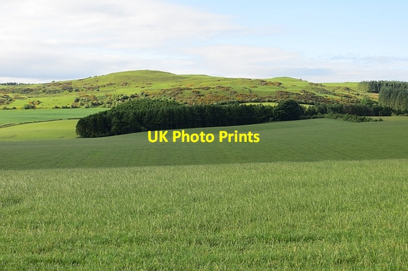 Photo 6"x4" Grass, Riccarton Linlithgow c2013