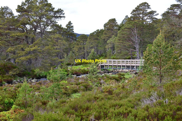 Photo 6"x4" Footbridge over Allt Lochan nan Eun Garbh Allt Shiel c2013