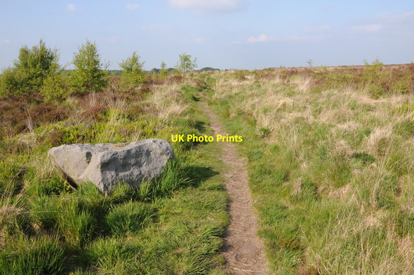 Photo 6"x4" Path on Brimham Moor Knoll Top c2013