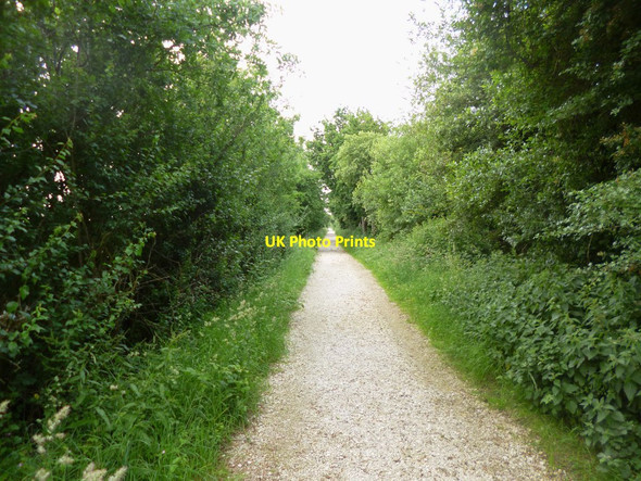Photo 6"x4" Ridge, Furzebrook Tramway Wareham c2013