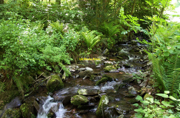 Photo 6"x4" A stream in Worthy Combe Porlock Weir c2013