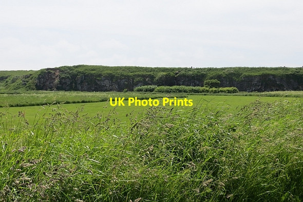 Photo 6"x4" Trow Leas South Shields c2013