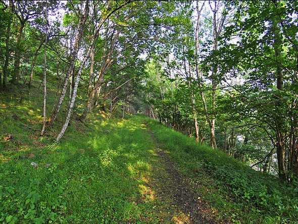 Photo 6"x4" Trackbed of the old St Fillans to Lochearnhead railway St Fillans c2008