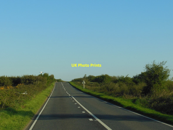 Photo 6"x4" The A395 towards Cold Northcott Badgall c2013