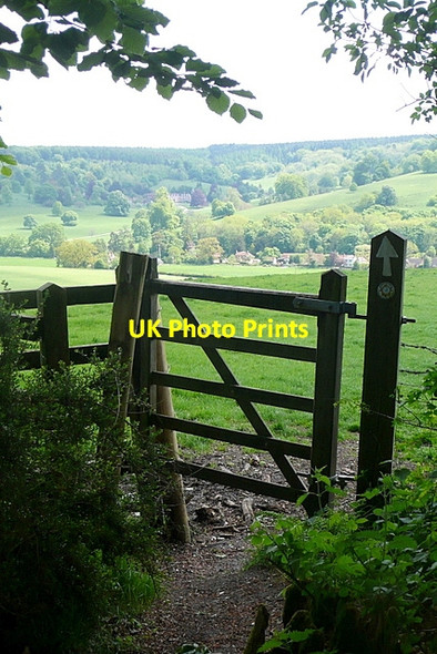 Photo 6"x4" Leaving Park Wood Stonor c2013