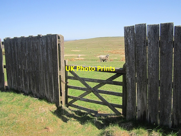 Photo 6"x4" Gate, Ilderton Moor Ilderton c2013
