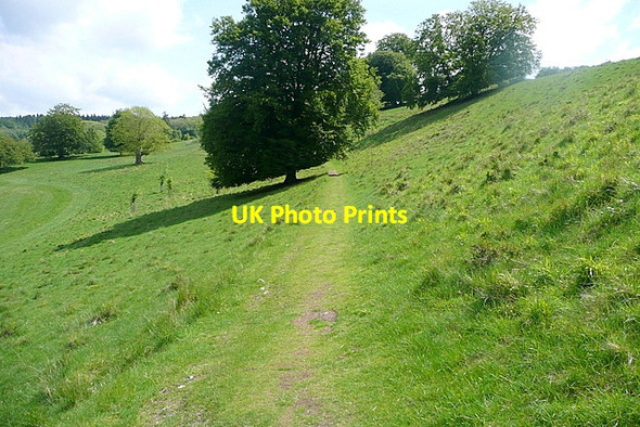 Photo 6"x4" Footpath in Stonor Park Stonor c2013