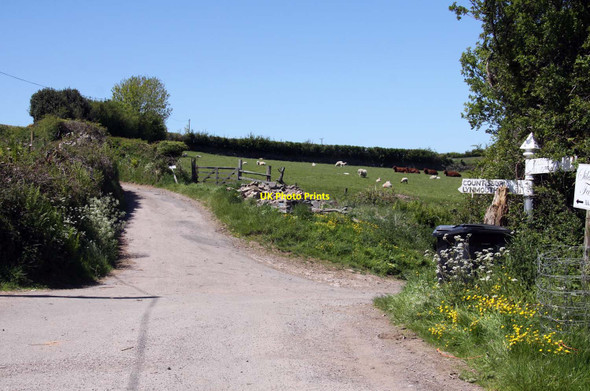Photo 6"x4" The road to Culbone Worthy\/SS8548 c2013