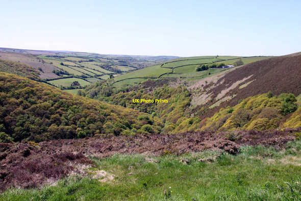 Photo 6"x4" East Lyn Valley from County Gate Malmsmead c2013