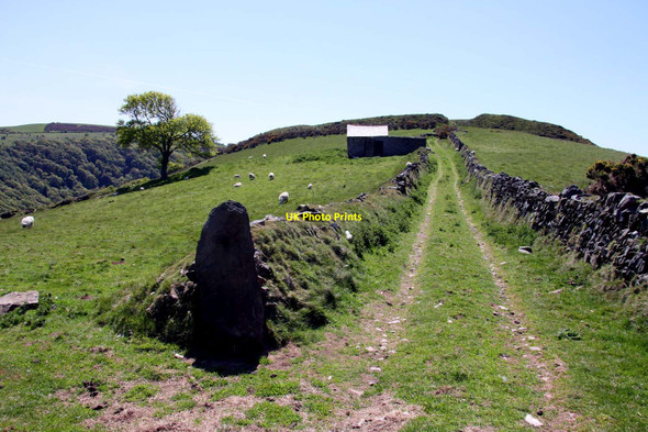 Photo 6"x4" Track up Wind Hill Countisbury c2013