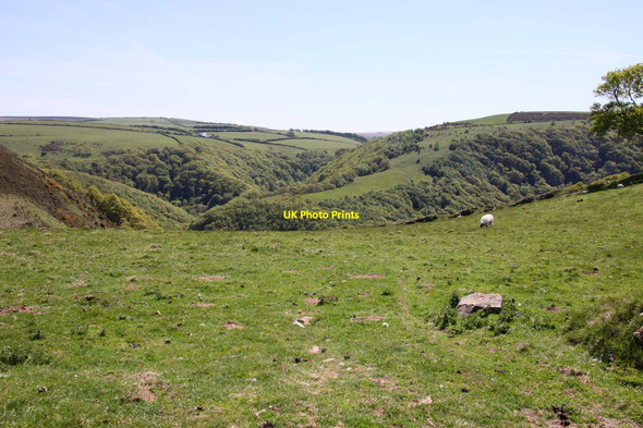 Photo 6"x4" The view over South Hill Common Countisbury c2013