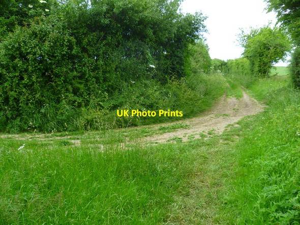 Photo 6"x4" The Orange Way after Wiltshire (108) Stanmore\/SU4779 c2013