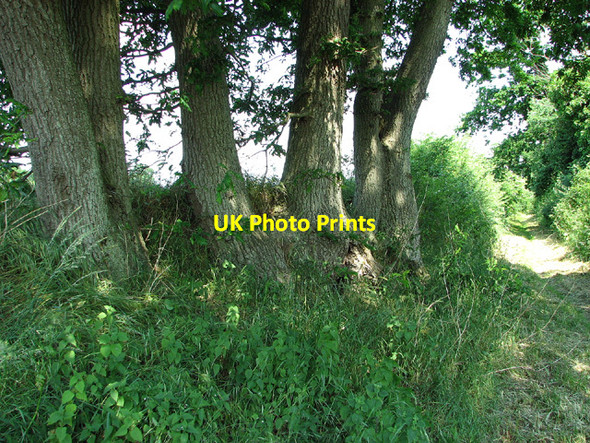 Photo 6"x4" Hollow Lane, Marlesford Marlesford c2013
