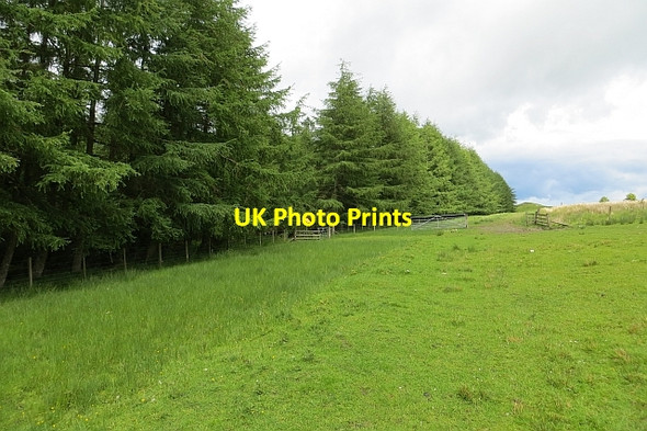 Photo 6"x4" The Drove Road Synton c2013