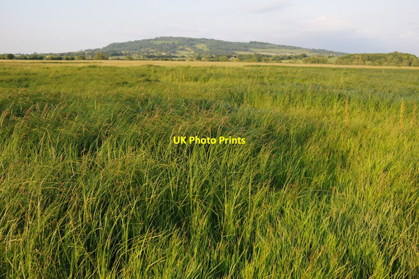 Photo 6"x4" Twyning Meadow Hill End\/SO9037 c2013