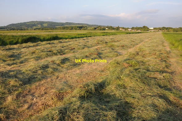 Photo 6"x4" Haymaking in Twyning Meadow Hill End\/SO9037 c2013 P2