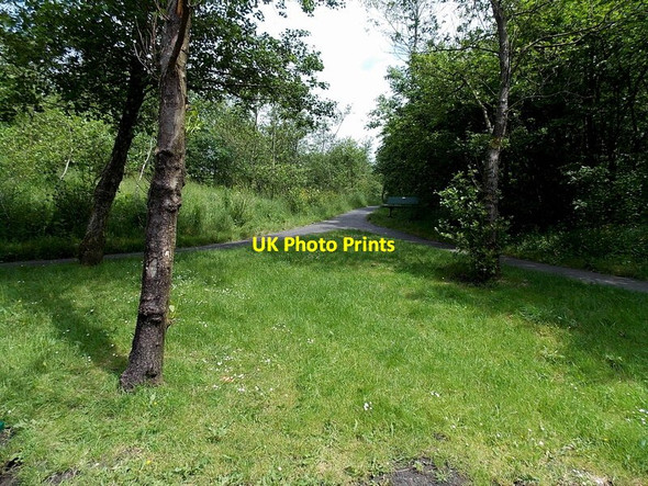 Photo 6"x4" Path union, Cwmtillery Lakes Abertillery\/Abertyleri c2013
