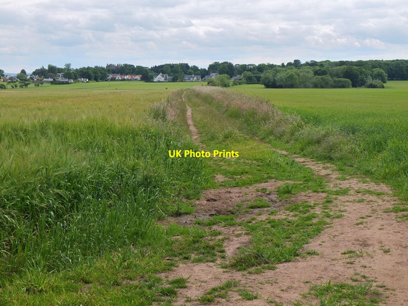 Photo 6"x4" John Muir Way leaving Yellow Craig Dirleton\/NT5183 c2013