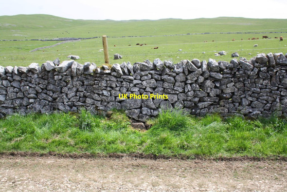 Photo 6"x4" View SE over dry stone wall of Mastiles Lane Bordley c2013