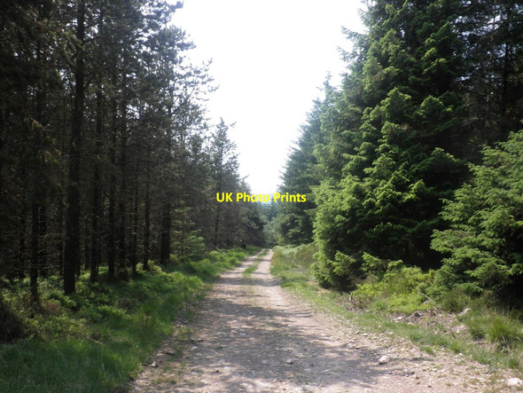 Photo 6"x4" Track to the west of Croydon Hill Churchtown\/SS9738 c2013