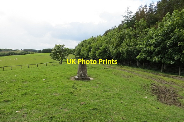 Photo 6"x4" Triangulation pillar, Muirfield Horsleyhill c2013