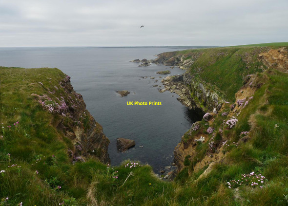 Photo 6"x4" Whitefield Geo, Sanday, Orkney Broughtown c2013