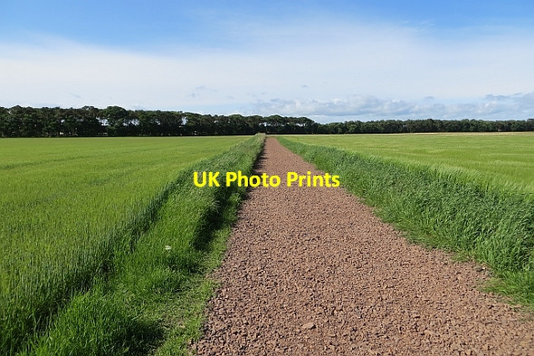 Photo 6"x4" Resurfaced track Dirleton\/NT5183 c2013