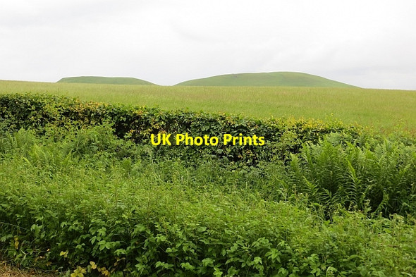 Photo 6"x4" Looming Mintos Hassendean c2013